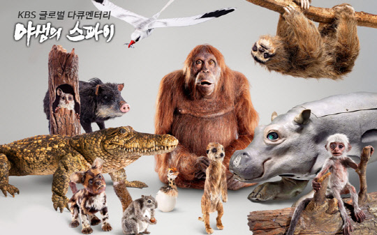 KBS 1TV는 야생스파이 5부작을 4월16일 부터 5월 21일까지 매주 일요일 밤 8시 10분에 방영한다. KBS 제공